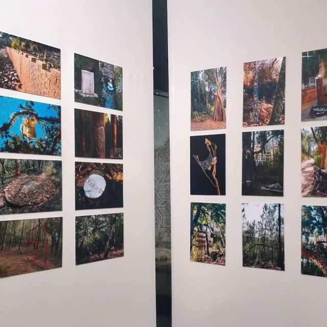 Ars Natura 10+1 exhibition. Sevilla.
Detail.
Photo of my site specific installation @valdelarte 

#arsnatura #valdelarte #artinnature #artinstallation #artinstallationproject