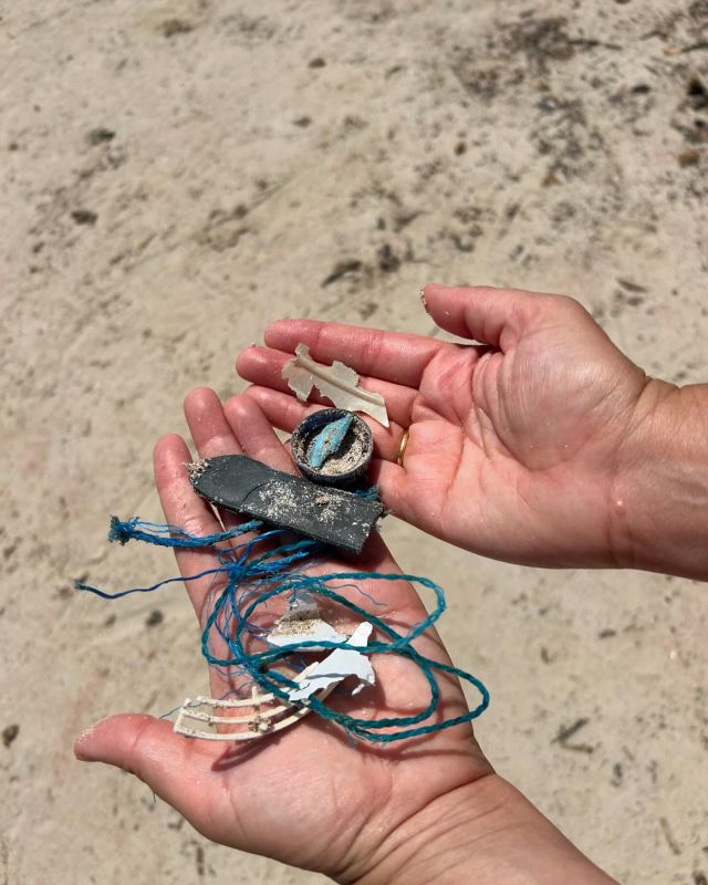 Shores of plastic project. Work in progress. 
#zerowaste #zerowastetynemouth #plasticfree #plasticfreeliving #jardrop #surfersagainstsewage #shoresofplastic #northtynesidecouncil #bringyourown #reuse #reduce #recycle #trashtag #ecoliving #noplastic #plasticfree #cyanotype  #sinplastico #sinplastico #nomasplastico #shoresofplastic #gloriaceballos #menorcasinplastico #plasticfreemenorca #shoresofplasticgloriaceballos